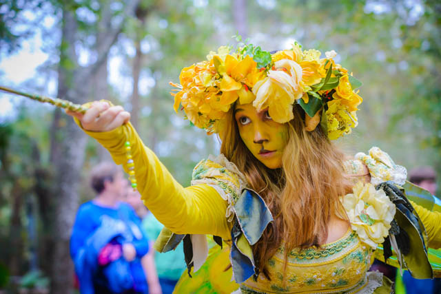 Texas Renaissance Festival